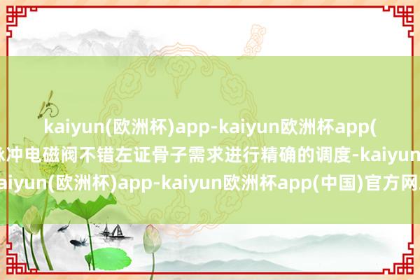 kaiyun(欧洲杯)app-kaiyun欧洲杯app(中国)官方网站-登录入口脉冲电磁阀不错左证骨子需求进行精确的调度-kaiyun(欧洲杯)app-kaiyun欧洲杯app(中国)官方网站-登录入口