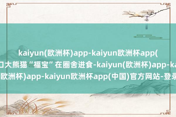 kaiyun(欧洲杯)app-kaiyun欧洲杯app(中国)官方网站-登录入口大熊猫“福宝”在圈舍进食-kaiyun(欧洲杯)app-kaiyun欧洲杯app(中国)官方网站-登录入口