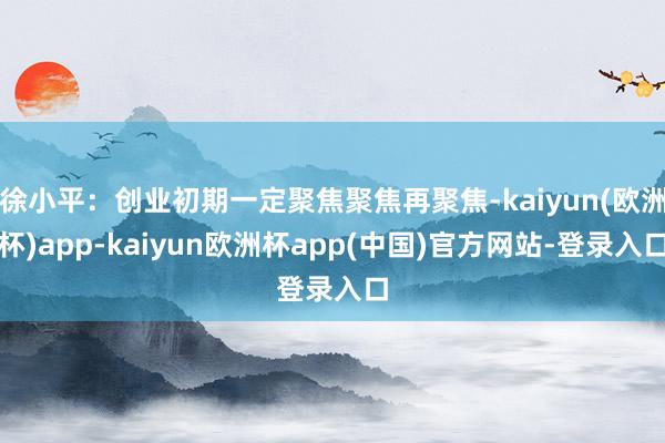 徐小平：创业初期一定聚焦聚焦再聚焦-kaiyun(欧洲杯)app-kaiyun欧洲杯app(中国)官方网站-登录入口